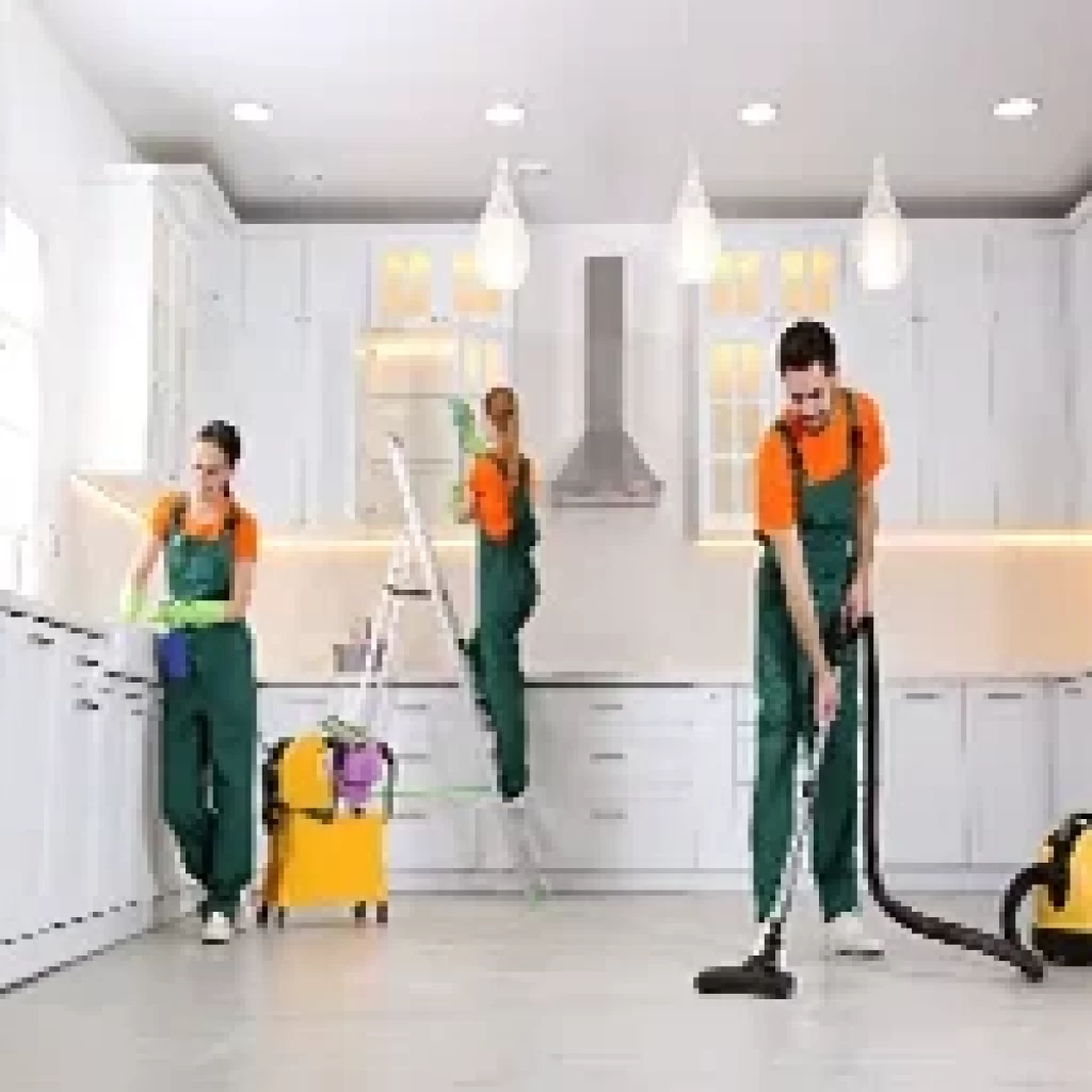 move in/out cleaning services