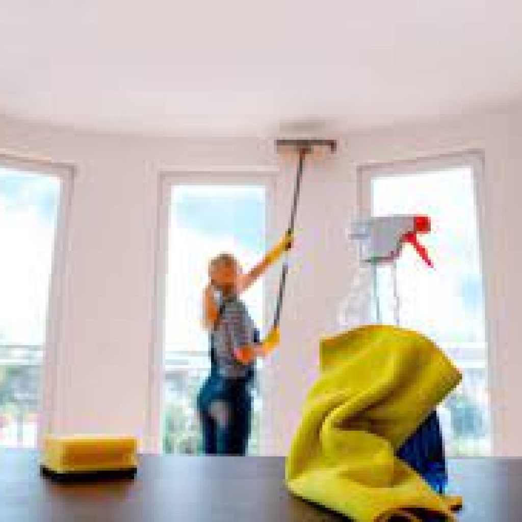 wall / celling cleaning services
